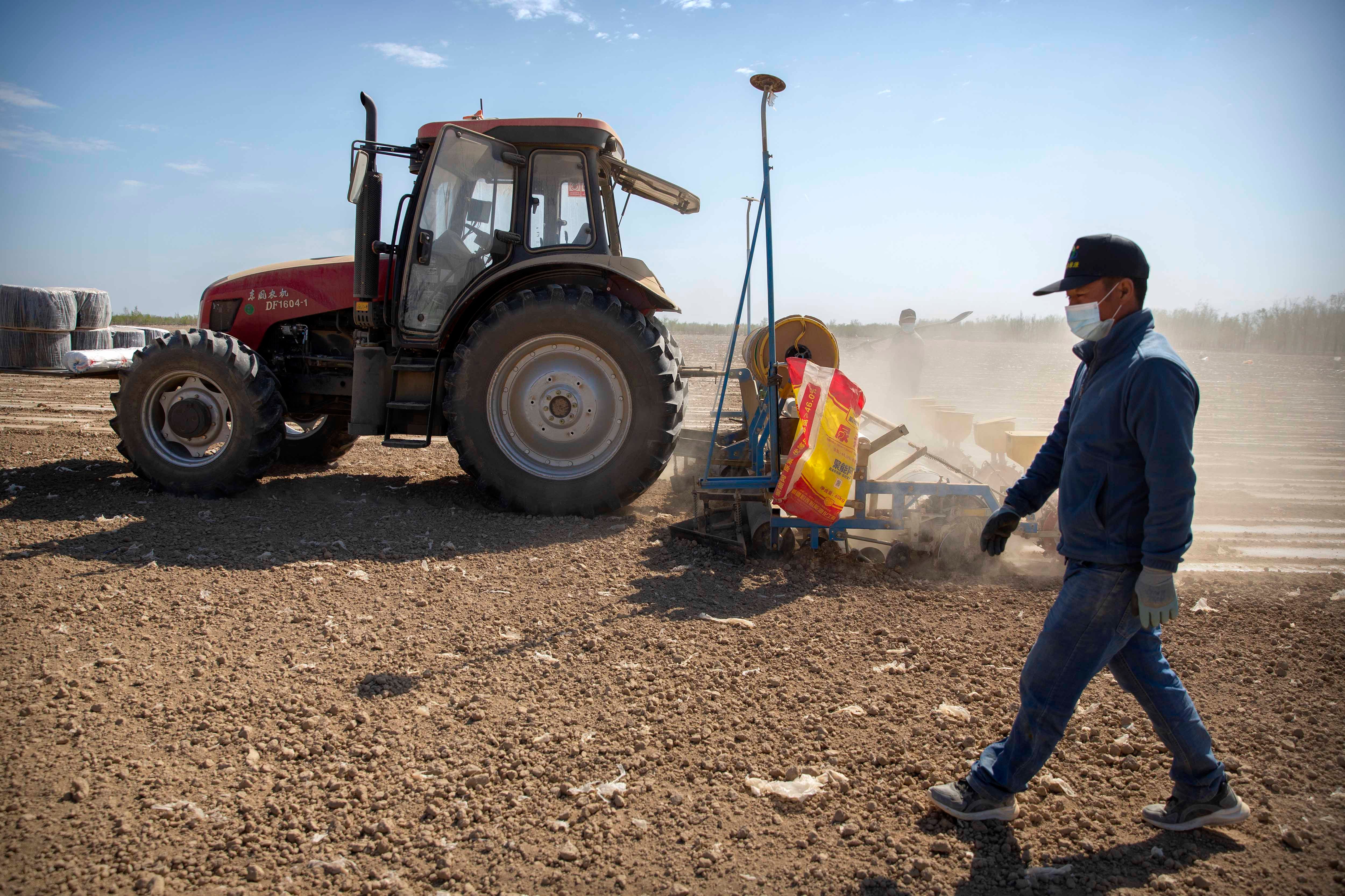 Uyghur Cotton Farmer