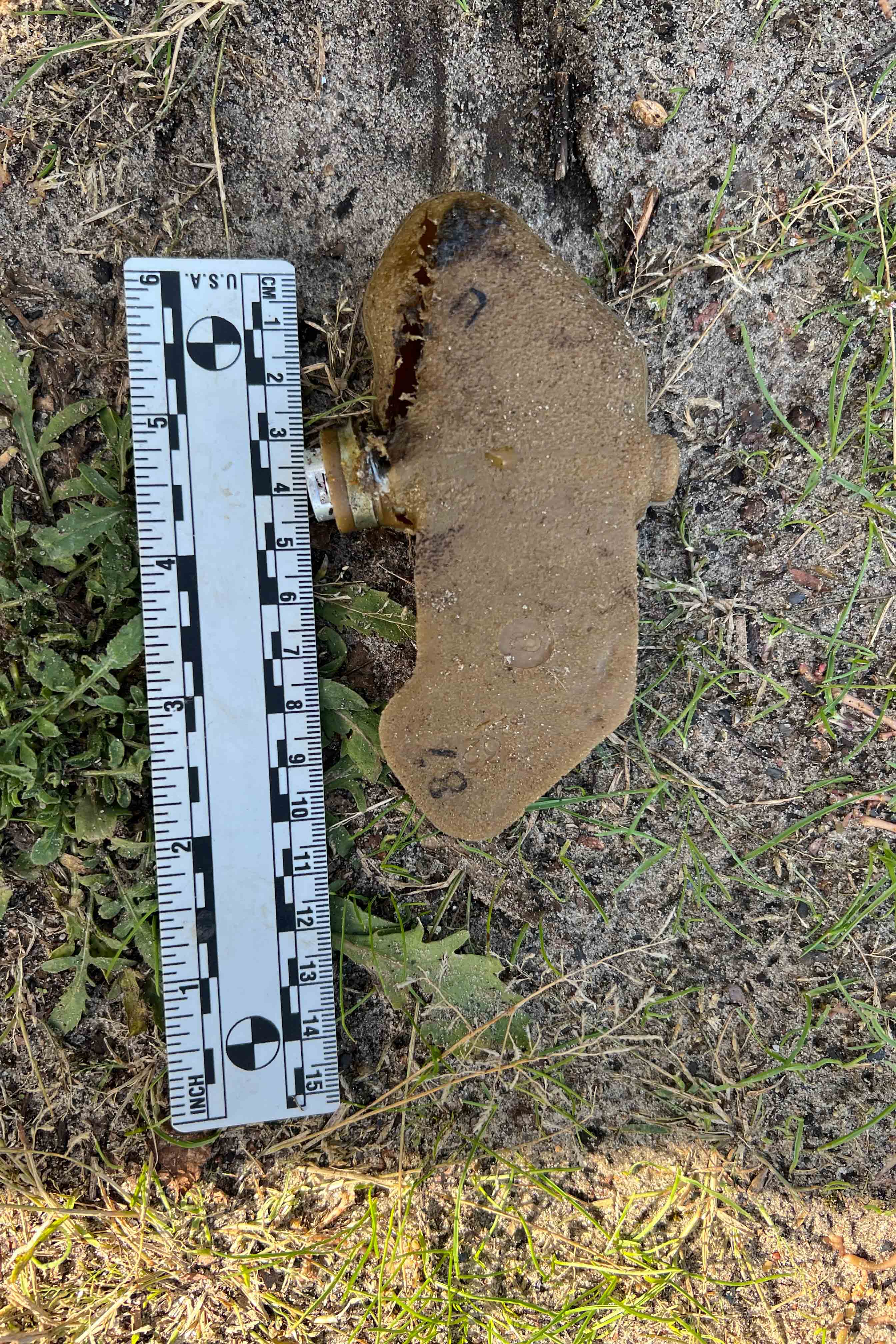 Взорвавшаяся противопехотная мина ПФМ-1С, известная также как «бабочка» или «лепесток». Данная мина была обнаружена экспертами Human Rights Watch в сентябре 2022 г. 