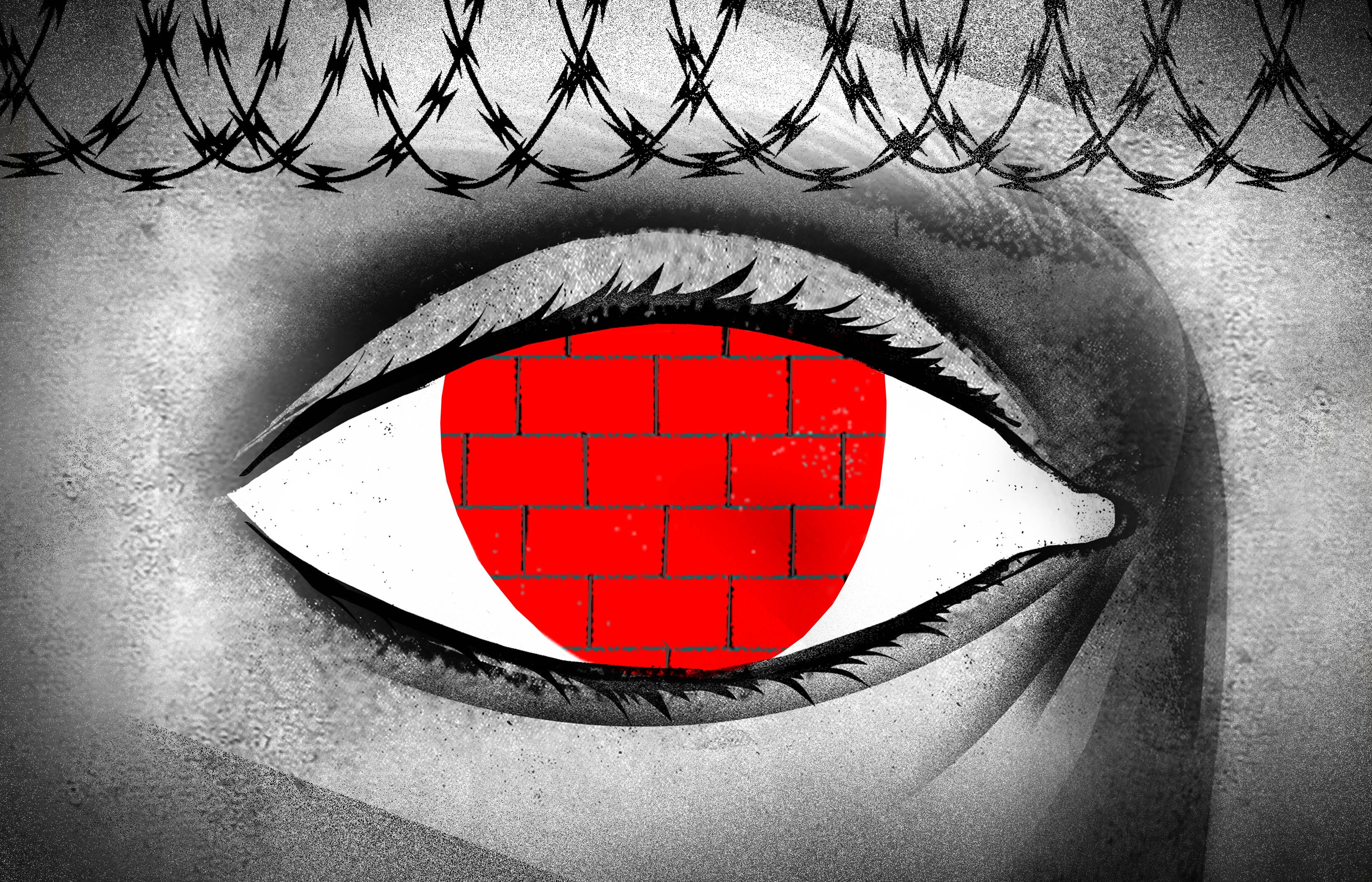 Illustration of a pupil looking at a red brick wall