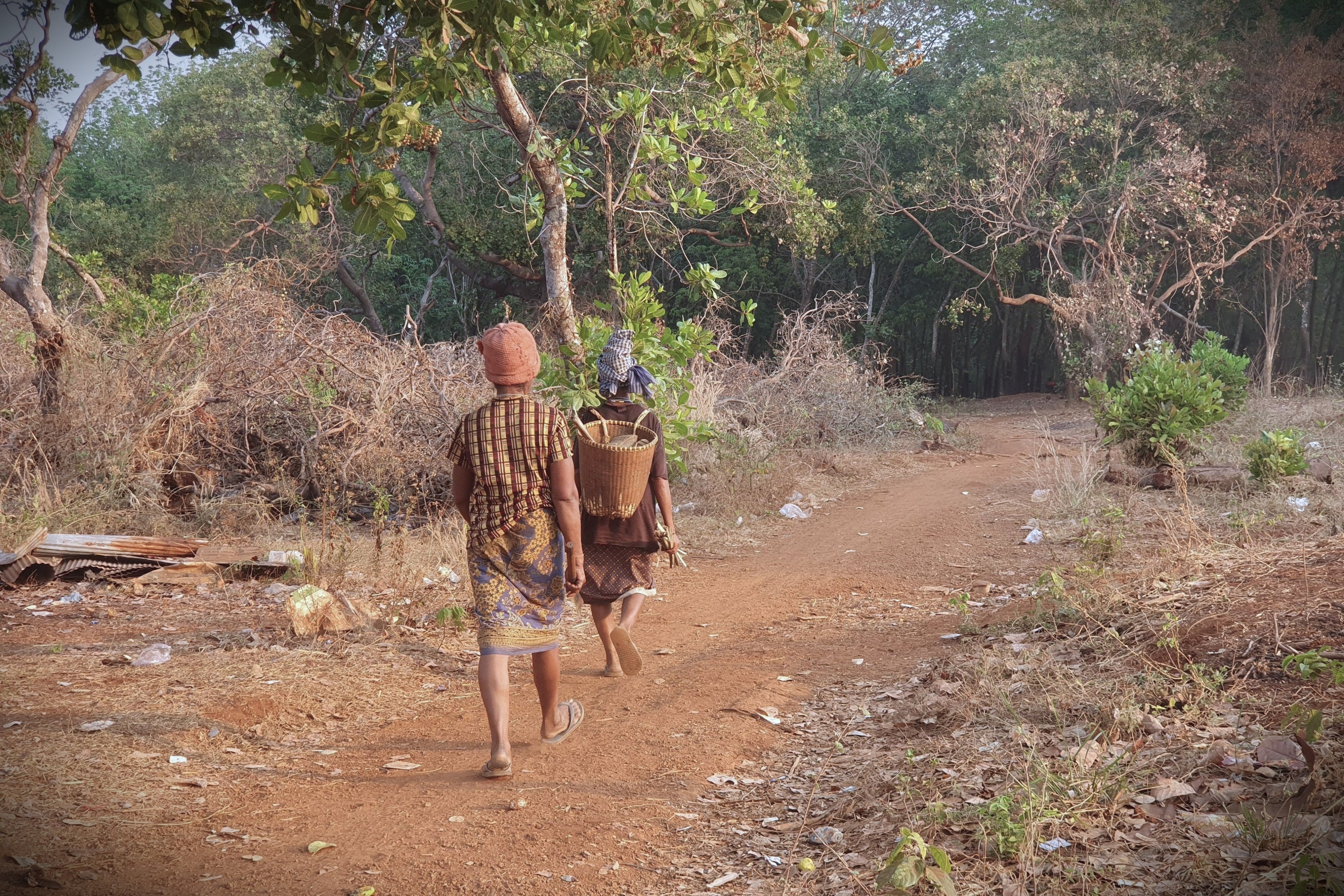 Two people walking down a rural road