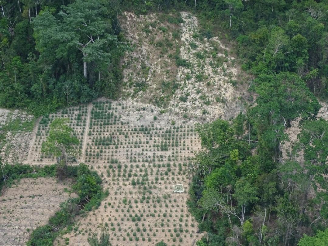 201909ENV_Brazil_pic6