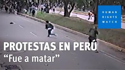 Desde Diciembre 2022 hasta Marzo 2023, una ola de manifestacions ha barrido Perú. Cuaranta y nueve manifestantes y transeúntes fureon asesinados durante los disturbios. Uno de ellos era Rosalino Florez.