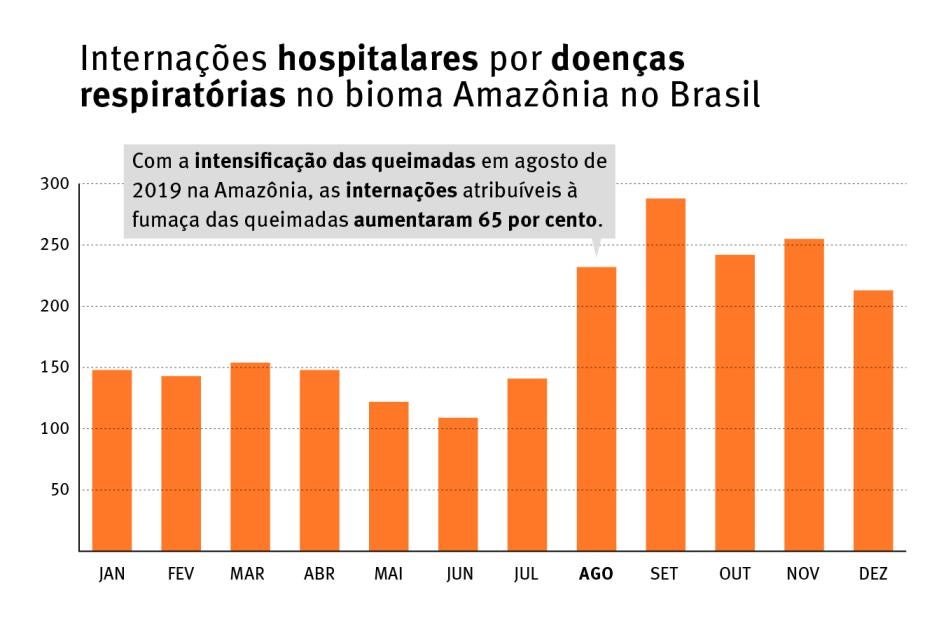 Brazil hospitalizations