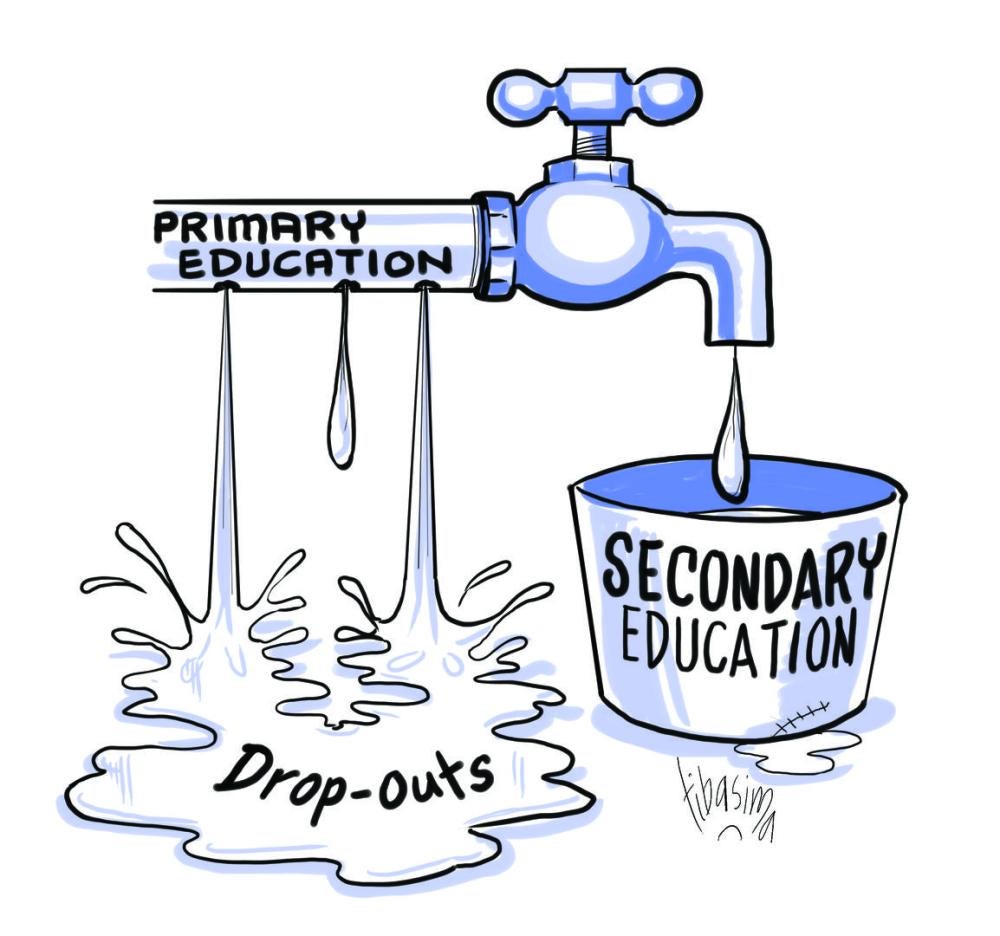 Cartoon for Tanzania Education Report 