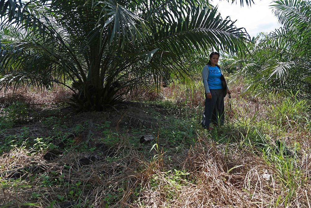 201909WRD_Indonesia_pics_IND