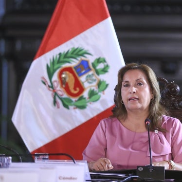 President Dina Boluarte during an ordinary session of the National Council for Citizen Security in Lima, Peru, on March 18, 2025.