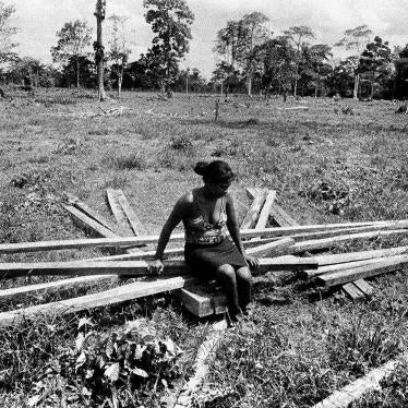 Paola Lance sits on the fallen structure of the house her family started to build in the Caño Manso community. Displaced in the late 1990s, Caño Manso community members started to return to their land in 2007 in the face of death threats and attacks.