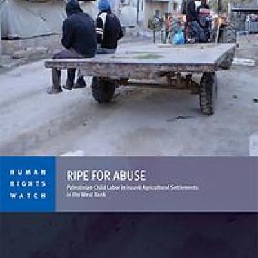 Palestinian laborers, including a 16-year-old, head out to work at a farm on an Israeli settlement in the West Bank.