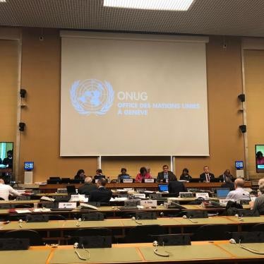 The United Nations’ Committee on Economic, Social and Cultural Rights in session during South Africa’s first review. (C) 2018 Elin Martínez/Human Rights Watch