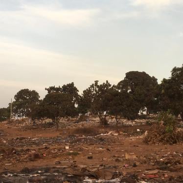 A person walking in Guinea.