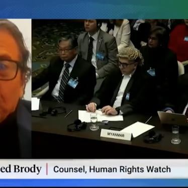 A screenshot of Reed Brody interviewing on Democracy Now!